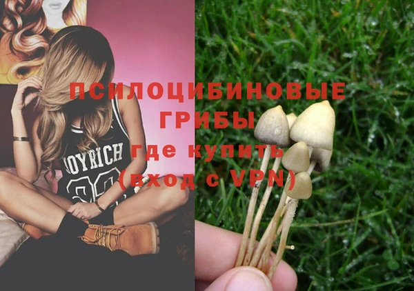 стафф Алексин